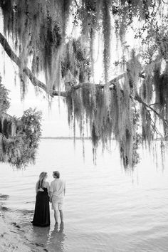 black and white photograph of two people standing in the water under a tree with spanish moss hanging over it