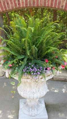 a planter filled with lots of green plants sitting on top of a cement slab