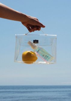 a hand holding a clear plastic bag with an orange and tube in it over the ocean