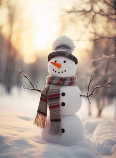 a snowman wearing a scarf and hat standing in the snow