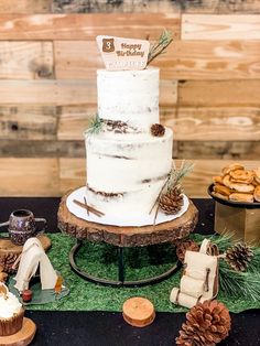 a white cake sitting on top of a table next to pine cones and other decorations