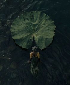 a woman floating on top of a large leaf in the middle of a body of water