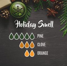 Holiday Smells, Lilin Aroma, Săpunuri Handmade, Essential Oil Diffuser Recipes, Oil Diffuser Recipes