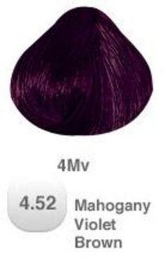 4.52 MAHOGANY VIOLET BROWN Plum Hair Dye, Dark Plum Hair, Blackberry Hair, Pravana Hair Color, Colored Hairstyles, Color Uva