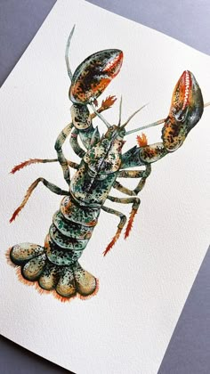 a watercolor painting of a lobster on white paper