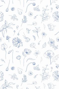 a blue and white flower pattern on a white background