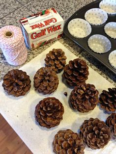 pine cones and cupcake tins are on the counter next to a baking sheet