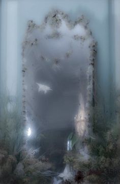 the reflection of a white bird in a mirror with plants and flowers on it's sides