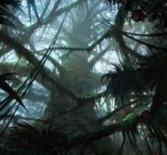 an image of the inside of a forest with lots of plants and trees in it