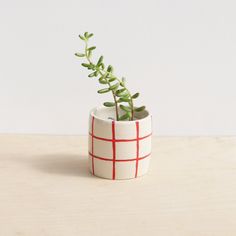 a small plant in a white and red checkered pot on a wooden table top