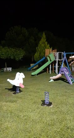 children's play equipment in the grass at night