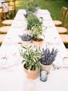 a long table is set with potted plants and place settings for the guests to sit at