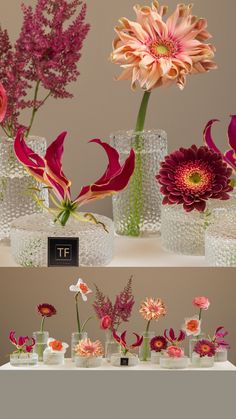 several vases filled with different types of flowers