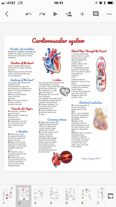 an image of the heart and its functions