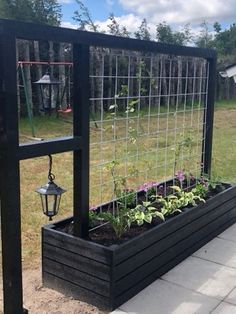 an outdoor garden with plants growing in it