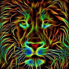 a colorful lion's face is shown in this digital art painting by artist and photographer michael