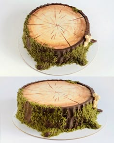 two pictures of a cake with moss on top and the same cake as it appears to be cut in half