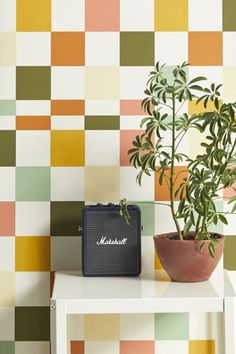 a potted plant sitting on top of a white table next to a blue speaker