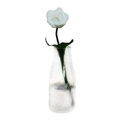 a single white rose in a clear glass vase on a white background with room for text