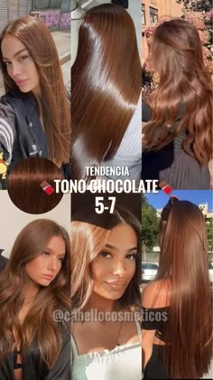 Color Formulas, Hair Color Chocolate, Highlights For Brunettes, Summer Hair Highlights, Hair Color Formulas, Brunette Hair With Highlights