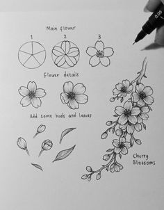 a drawing of flowers and their meanings