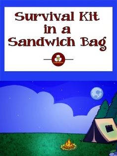 Vacation Gift Bag Ideas, Soil Ecosystem, Evacuation Bag, Scouts Activities, Summer Survival Kit, Urban Survival Kit, Shtf Preparedness