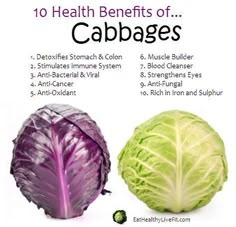 Cabbage Health Benefits, Cabbage Benefits, Coconut Health Benefits, Purple Cabbage, Benefits Of Coconut Oil, Super Food, Cabbages, Health Info