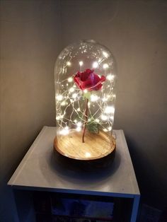 a red rose in a glass dome with fairy lights around it on a wooden base