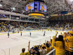 a hockey game is being played in an indoor arena with people watching from the stands