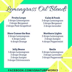 Essential Oils Diy, Essential Oil Perfumes Recipes, Doterra Diffuser Blends, Essential Oils Collection, Aromatherapy Essential Oils