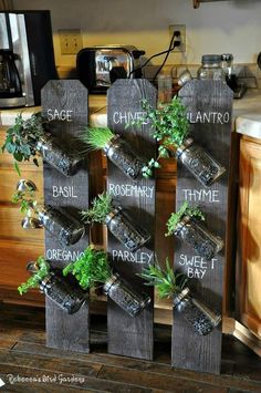 an old pallet is used as a herb garden