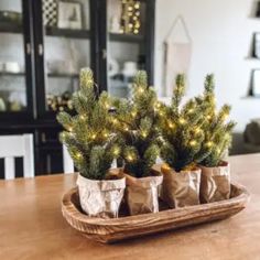 three small christmas trees in bags sitting on a wooden tray with string lights around them