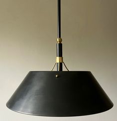 a black and gold pendant light hanging from a ceiling in a living room or dining room