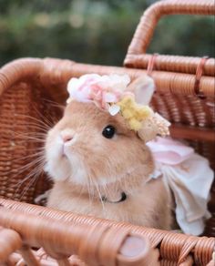 a small hamster wearing a flower crown in a basket