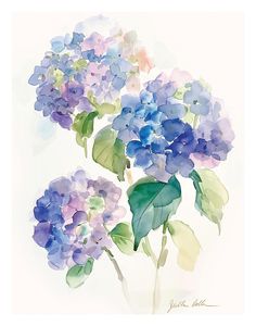 watercolor painting of purple and blue hydrangeas