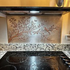 a stove top oven sitting inside of a kitchen next to a wall mounted range hood