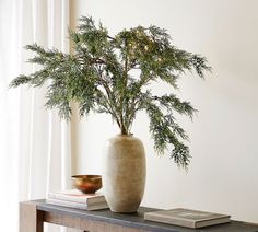 a plant in a vase sitting on top of a wooden table next to a book