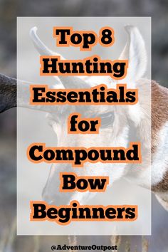 an antelope with the words top 8 hunting essentials for compound bow beginners