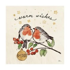 two birds sitting on top of a tree branch with berries and an ornament