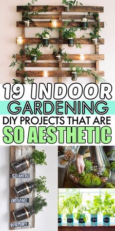 the top ten indoor gardening projects that are so aesthetic