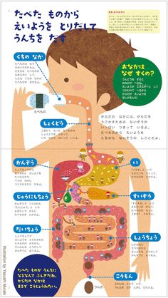 an info poster showing the different types of human body