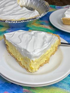 there is a piece of cake on the plate and another pie in the pan behind it