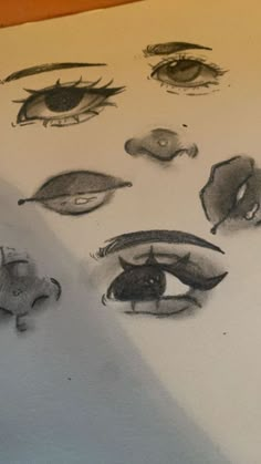 several drawings of different types of eyes