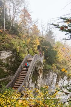 two people are walking up the stairs in the woods