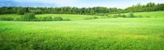 an empty field with trees in the background