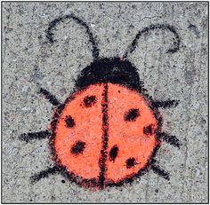 an orange and black ladybug drawn on the ground with chalk paste in it