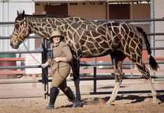 a woman is standing next to a giraffe