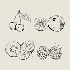 hand drawn fruit set on white background with clipping area for text or image illustration