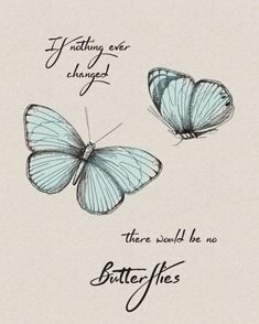 two blue butterflies with the caption if nothing ever changed, there would be no butterflies