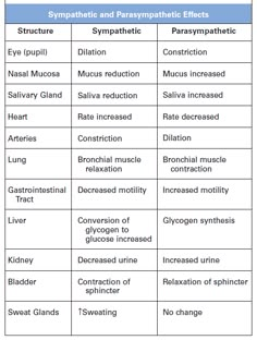 the table shows different types of synphatic and parasymathic effects